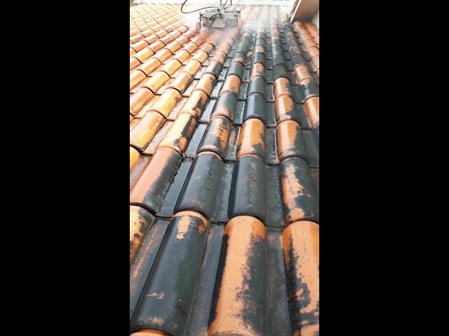 Claves para implementar limpieza de techos altos industriales