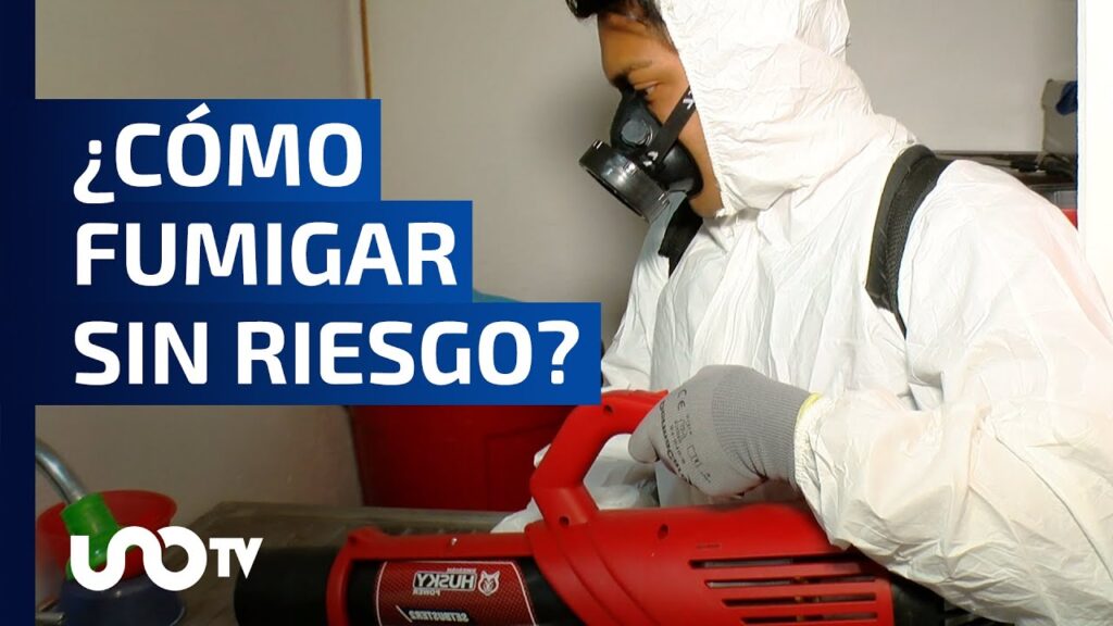 Consejos de expertos para enfrentar qué hacer si hay plagas en un local comercial
