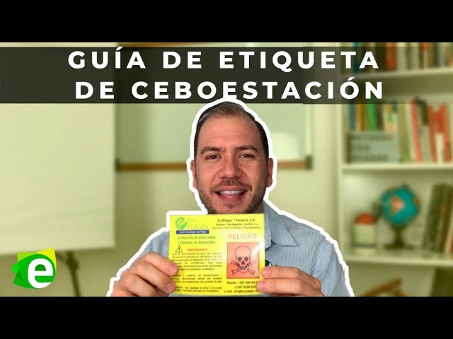 Guía completa sobre cómo funciona la desratización profesional