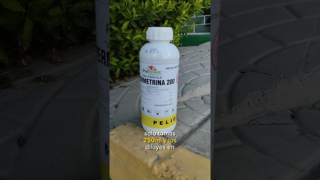 Guía completa sobre recomendaciones del MINSA sobre fumigaciones