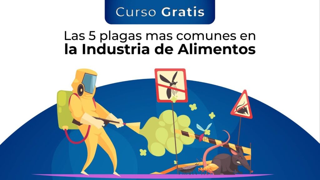 Guía completa sobre tipos de plagas comunes en zonas industriales