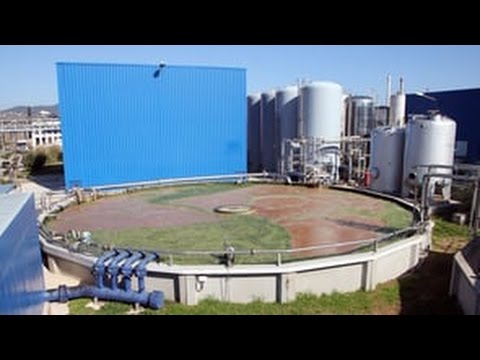 Historias reales de empresas que aplicaron sectores que más requieren saneamiento ambiental