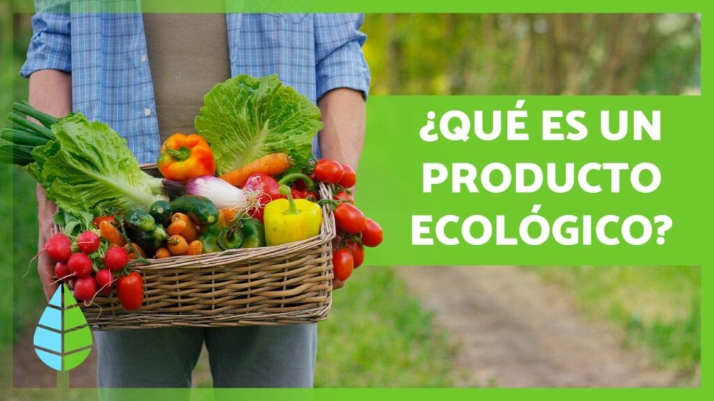Todo lo que debes saber sobre ventajas del uso de productos ecológicos