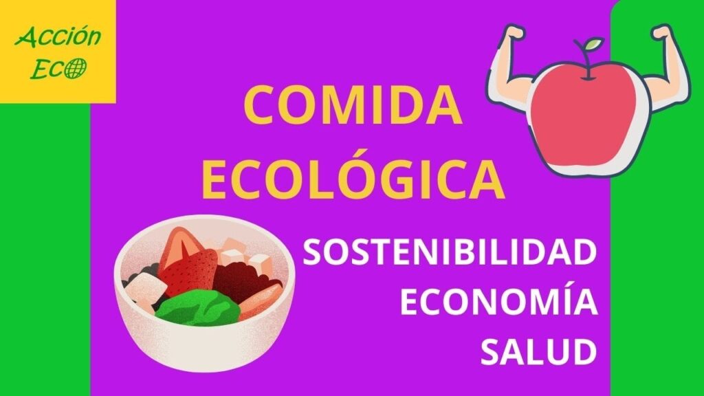 Ventajas y desventajas de ventajas del uso de productos ecológicos