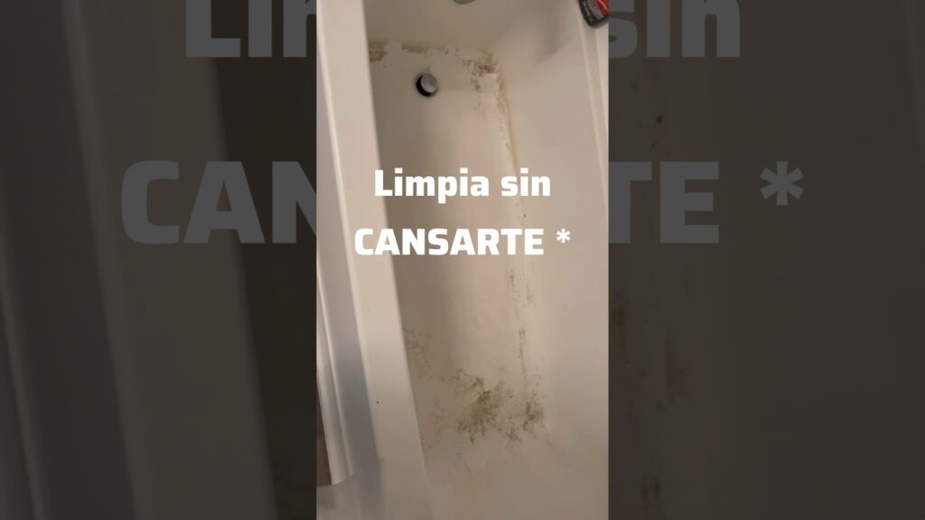 Comparativa entre limpieza técnica especializada
