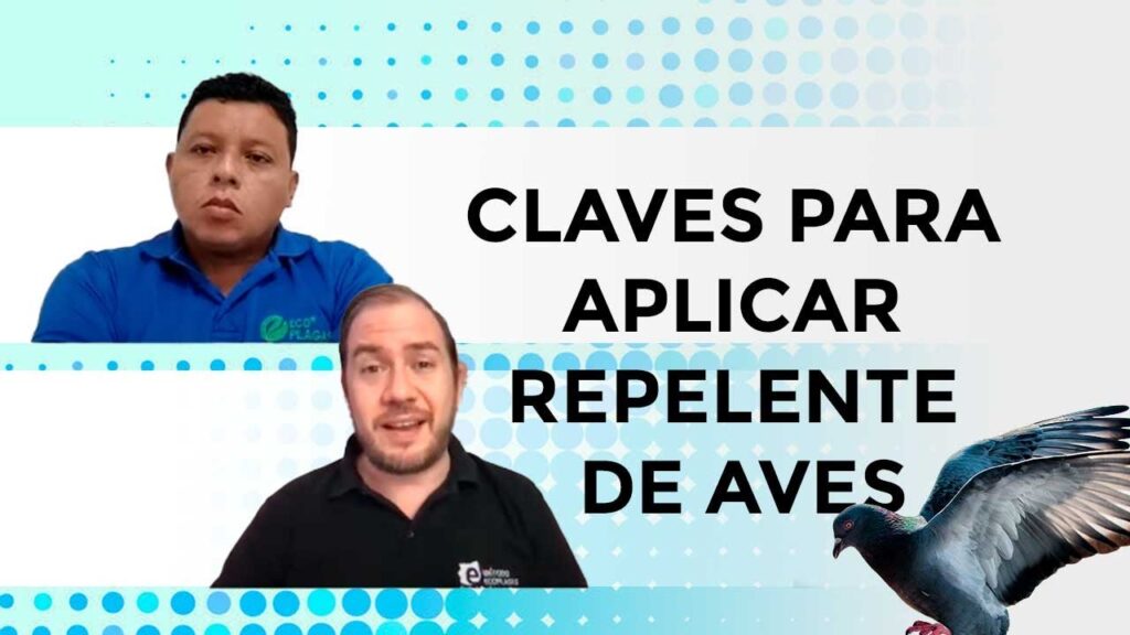 Guía completa sobre control de aves urbanas en techos industriales