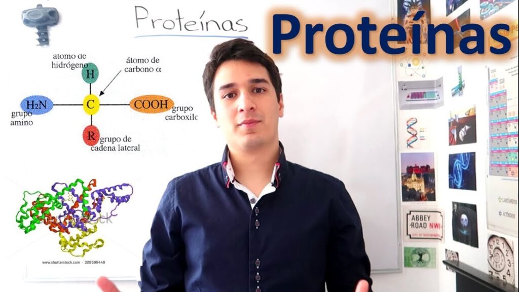 Guía completa sobre diferencias entre control químico y biológico