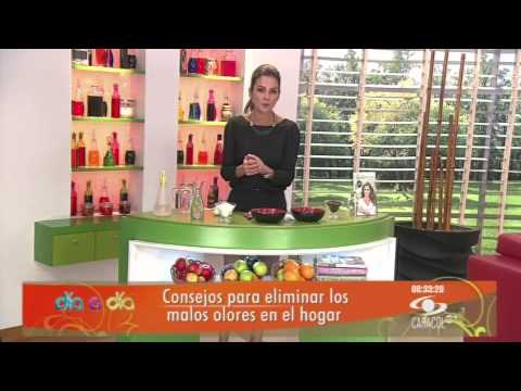 Guía completa sobre estrategias para eliminar malos olores industriales