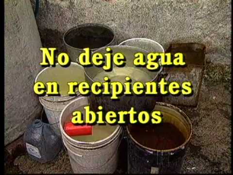 Guía completa sobre prevención de dengue en zonas urbanas