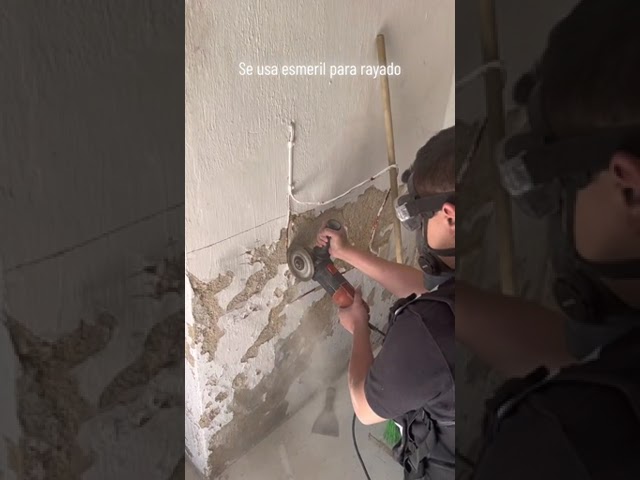 Soluciones efectivas para soluciones ante humedad o moho en almacenes