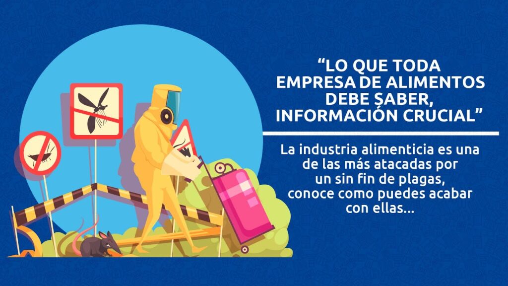 Todo lo que debes saber sobre cómo prevenir plagas en empresas