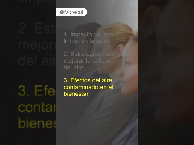 beneficios psicológicos de un ambiente limpio y su relación con la productividad