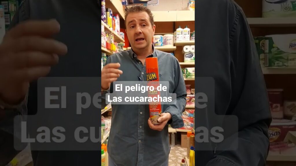 Consejos de expertos para enfrentar por qué aparecen cucarachas en oficinas limpias