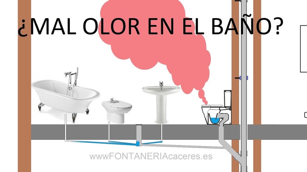 Errores comunes al tratar cuáles son las causas de malos olores en reservorios