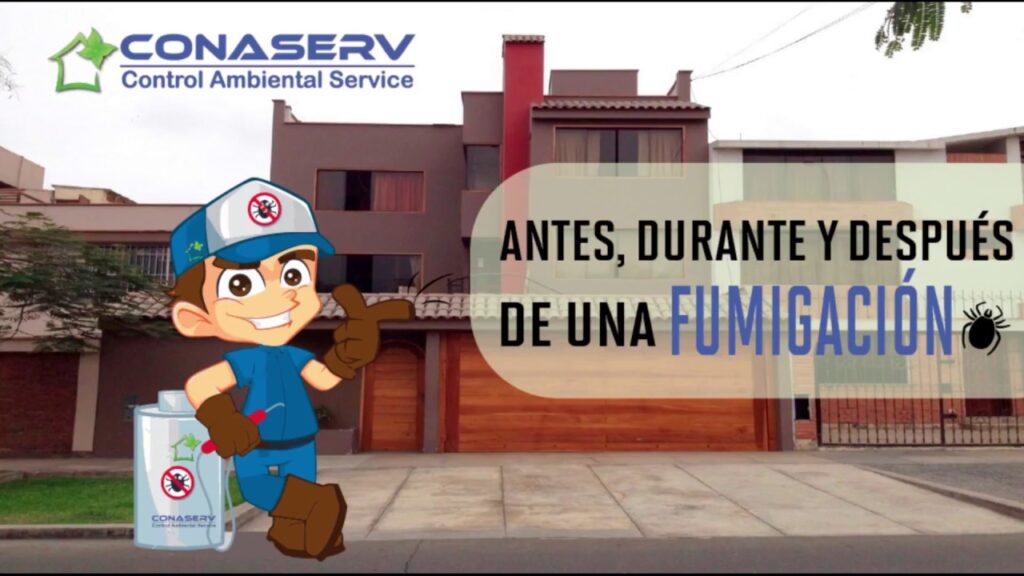Todo lo que debes saber sobre cómo funciona la desratización profesional