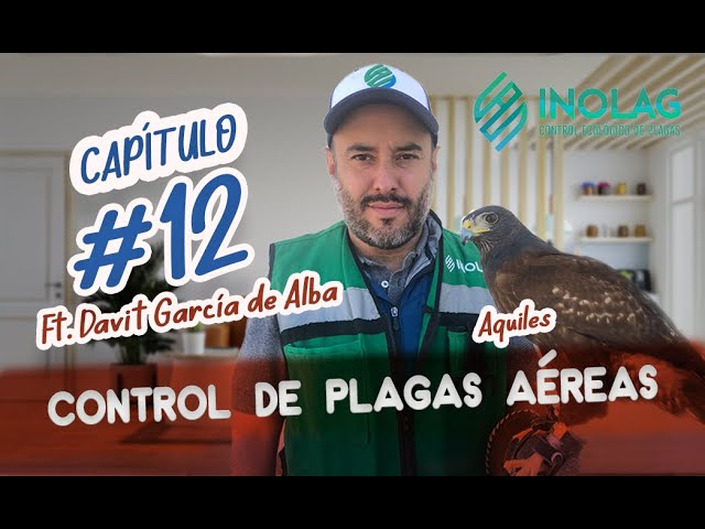 Todo lo que debes saber sobre control de aves urbanas en techos industriales