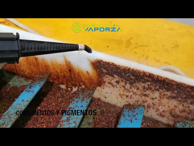Todo lo que debes saber sobre limpieza industrial con vapor seco