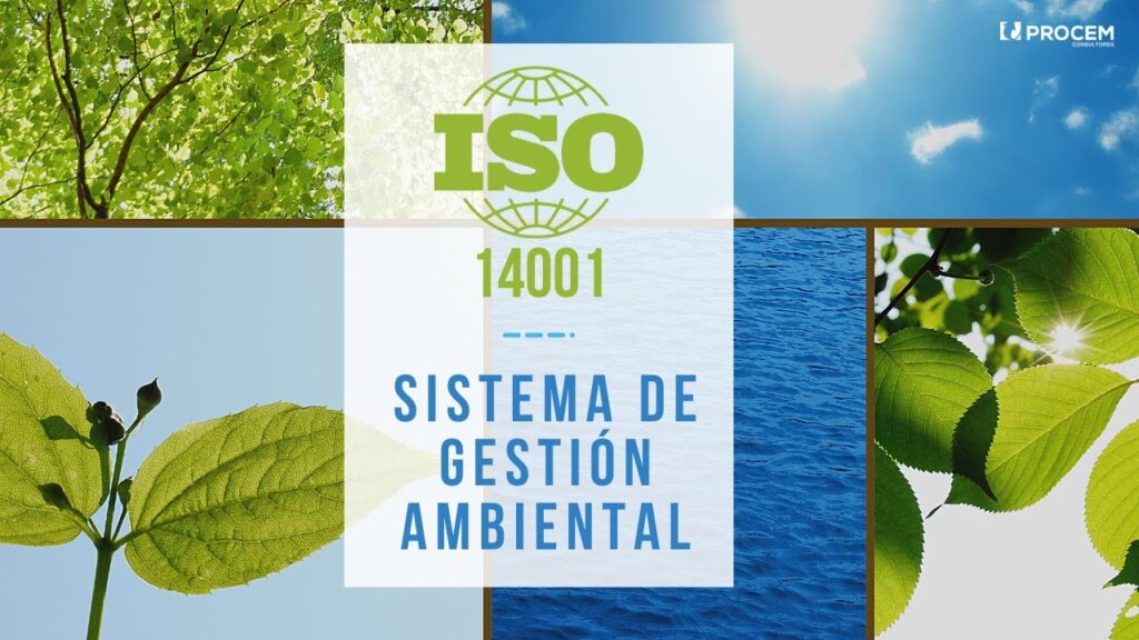 Todo lo que debes saber sobre plan de saneamiento ambiental para empresas