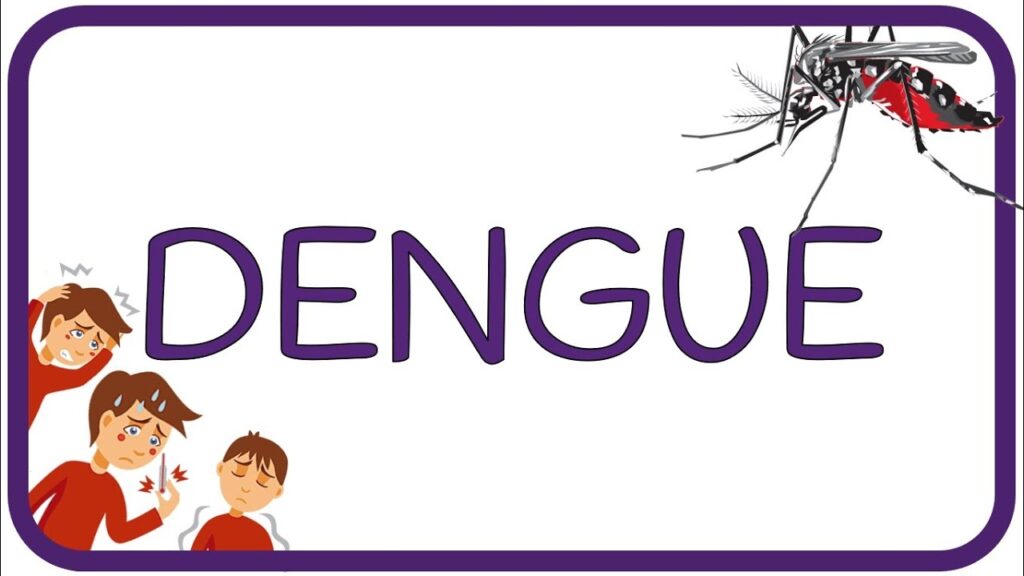 Todo lo que debes saber sobre prevención de dengue en zonas urbanas