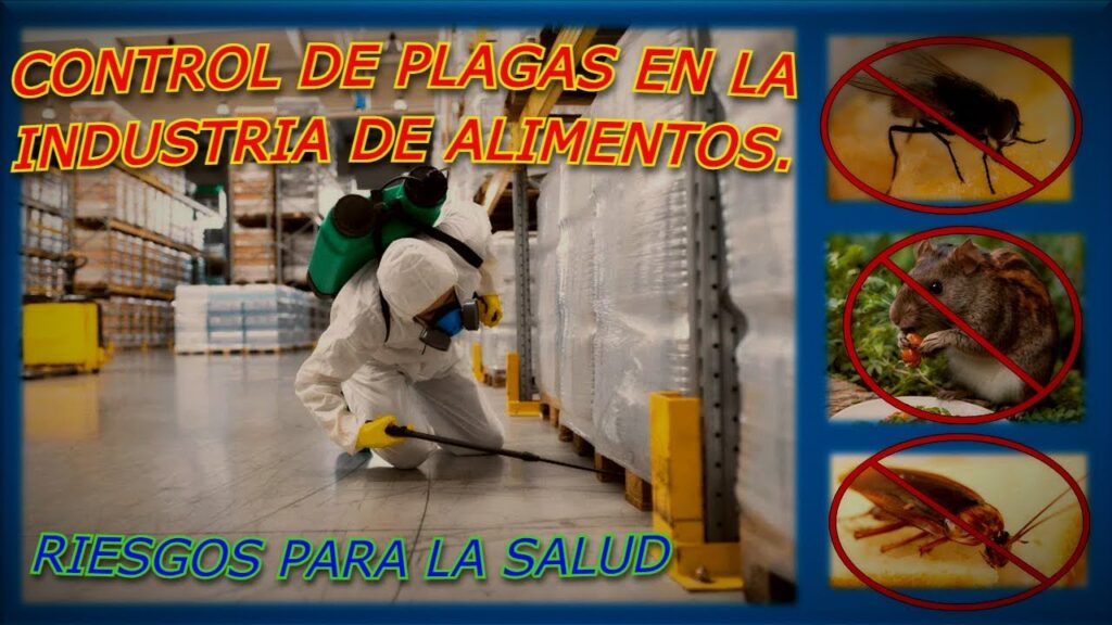 Todo lo que debes saber sobre riesgos de plagas para la salud pública