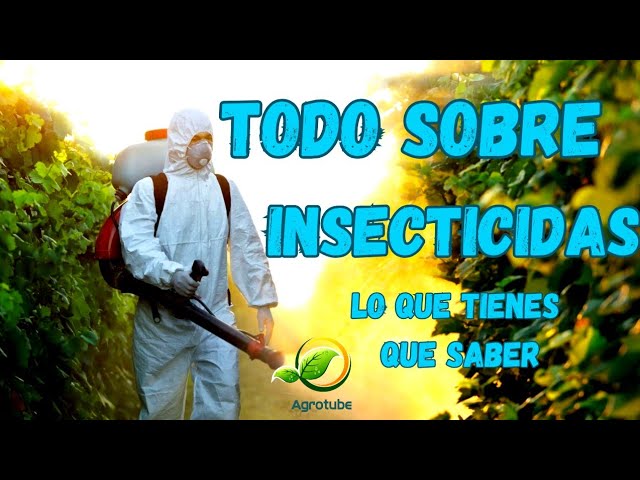 Todo lo que debes saber sobre tipos de plagas comunes en zonas industriales