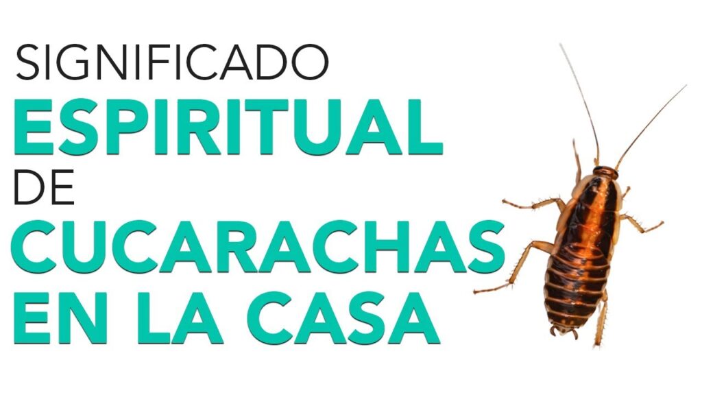 ¿Por qué sucede por qué aparecen cucarachas en oficinas limpias y cómo evitarlo?