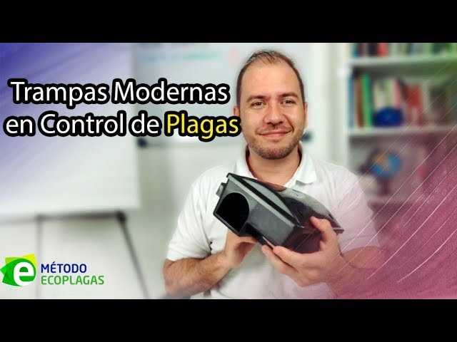 Cómo funciona control de roedores: métodos modernos