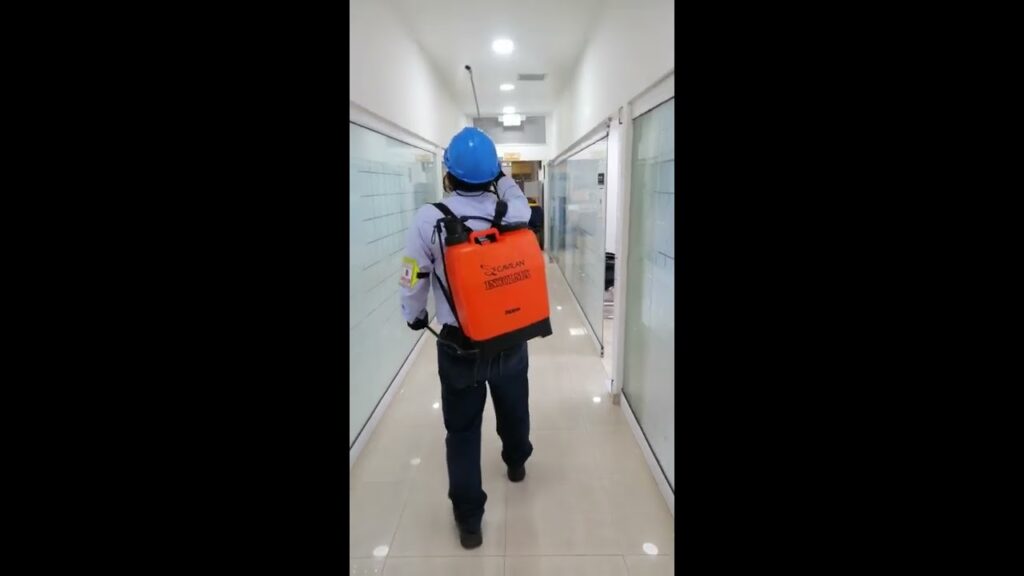 Cómo funciona importancia de la fumigación en oficinas