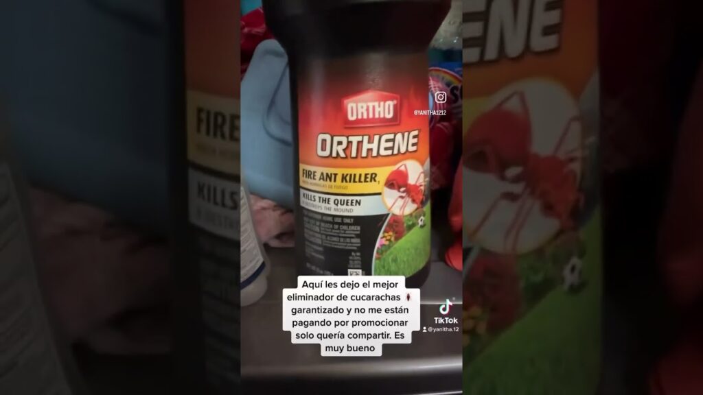 Ventajas de medidas para reducir presencia de cucarachas