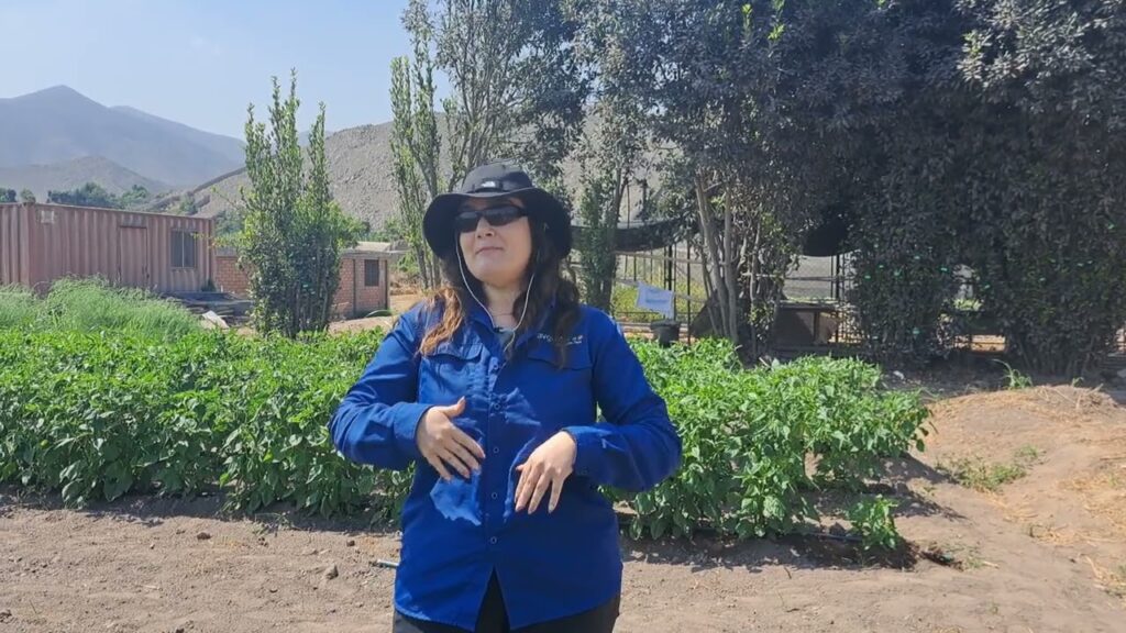 Ventajas de normativas peruanas sobre control de plagas