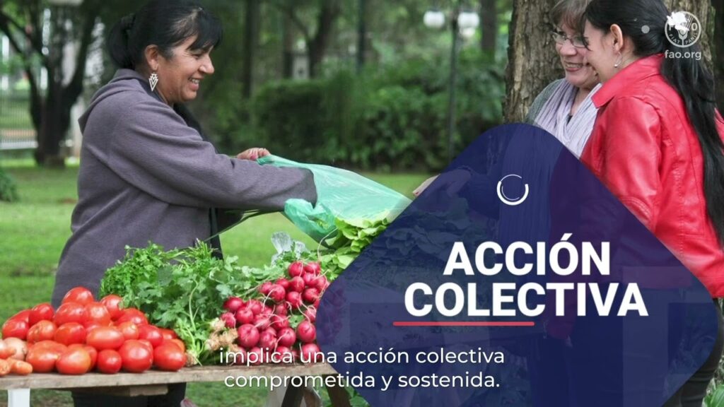 Buenas prácticas comprobadas en saneamiento ambiental en mercados mayoristas