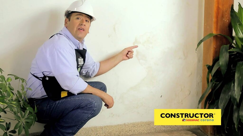 Cómo prevenir por qué aparecen manchas negras en paredes internas en entornos laborales