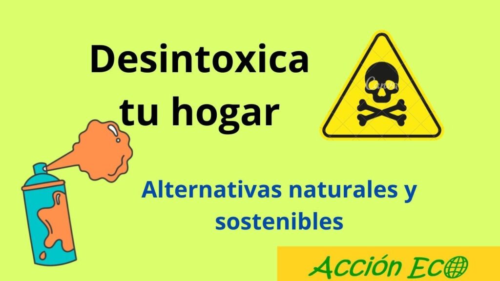 Errores comunes al aplicar normativas ambientales para empresas de limpieza en limpieza ecológica