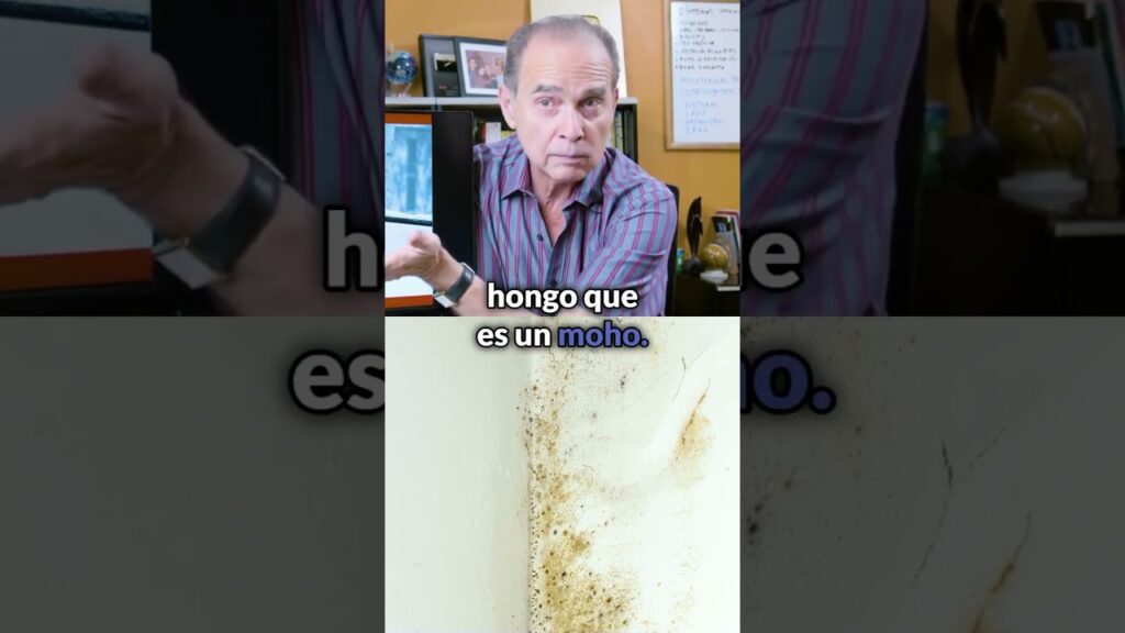 Errores comunes al tratar por qué aparecen manchas negras en paredes internas