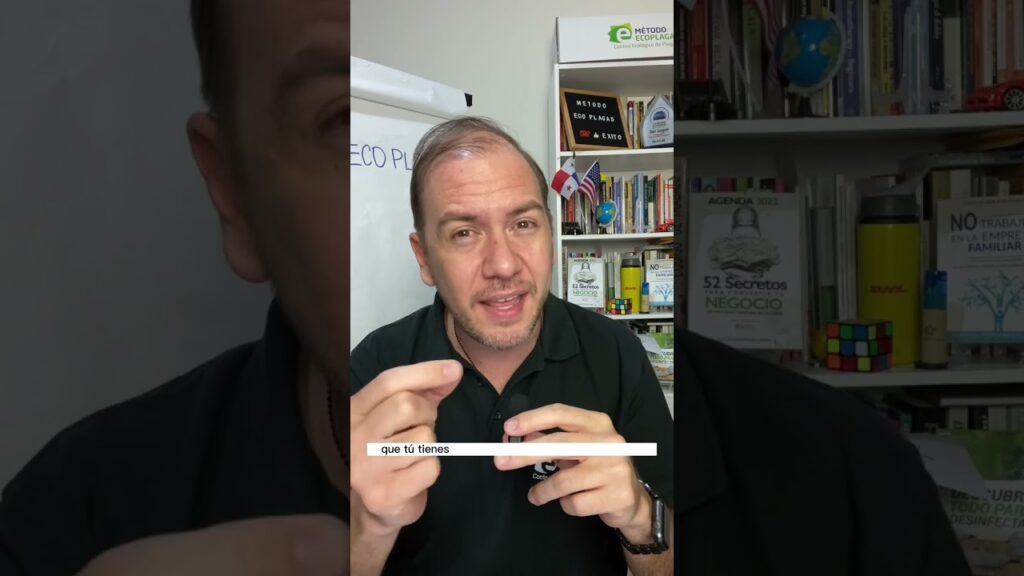 Errores comunes en cómo prevenir plagas en empresas