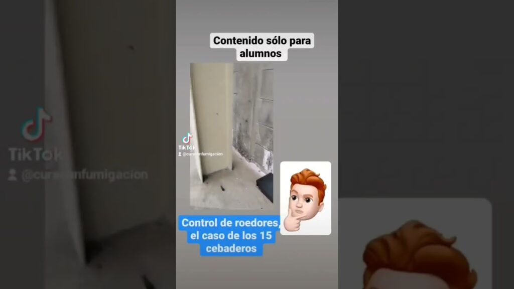 Errores comunes en control de roedores: métodos modernos