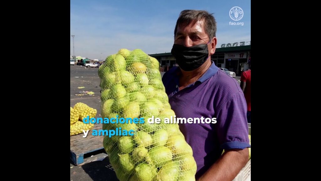 Recomendaciones basadas en saneamiento ambiental en mercados mayoristas