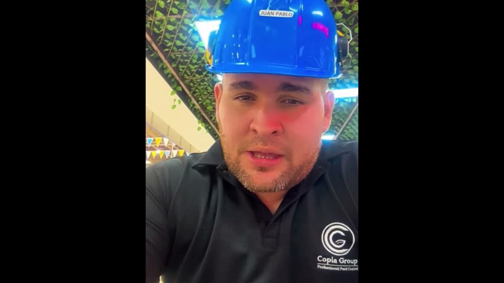 Ventajas de control de aves urbanas en techos industriales