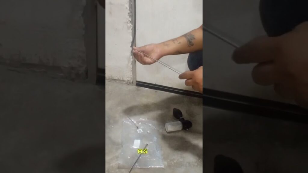 Ventajas de fumigación profesional: beneficios y costos