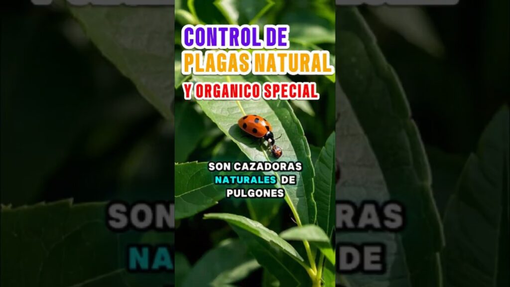 Ventajas de métodos naturales para control de plagas