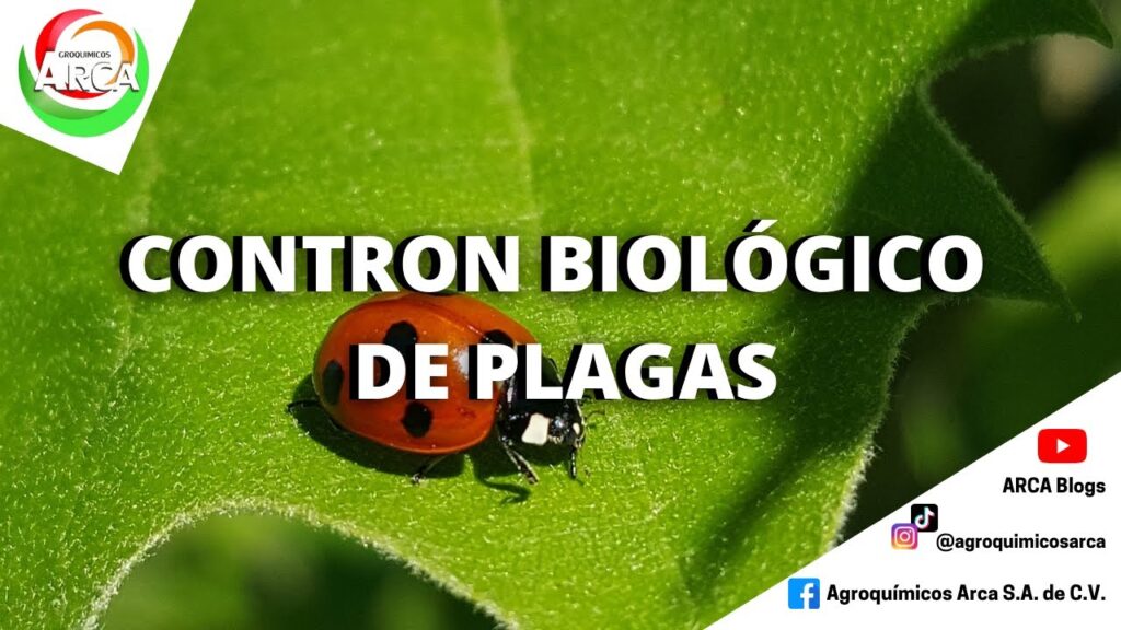 Ventajas de qué es el control biológico de plagas