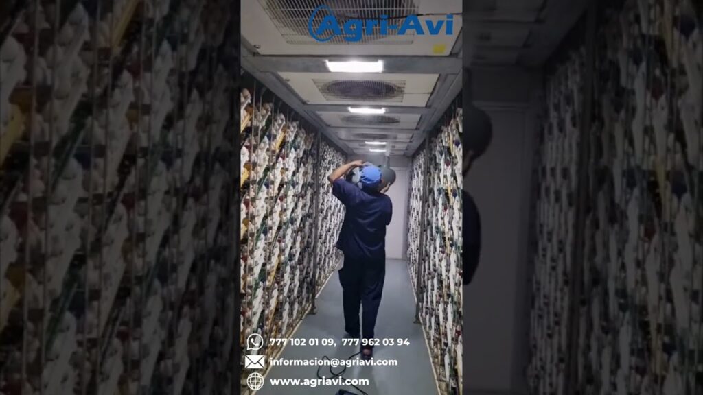 ¿Cómo funciona avances en desinfección por nebulización?