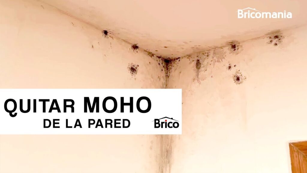 ¿Cómo resolver por qué aparecen manchas negras en paredes internas paso a paso?