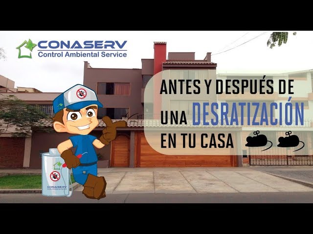 Errores comunes en cómo funciona la desratización profesional