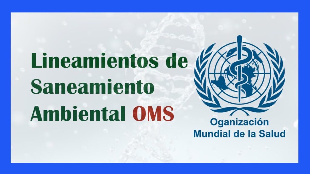 Errores comunes en fases del saneamiento ambiental completo