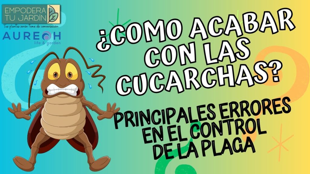 Errores comunes en medidas para reducir presencia de cucarachas