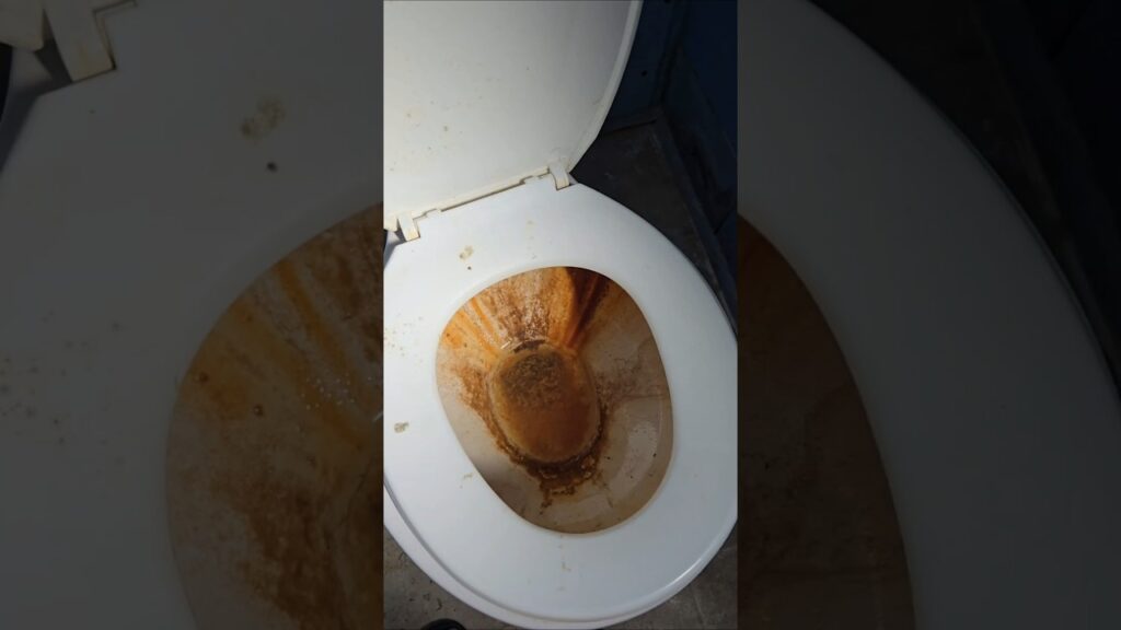 Guía práctica: soluciones rápidas para eliminar sarro en baños corporativos