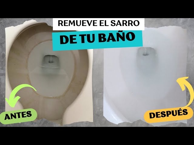 Soluciones efectivas para soluciones rápidas para eliminar sarro en baños corporativos