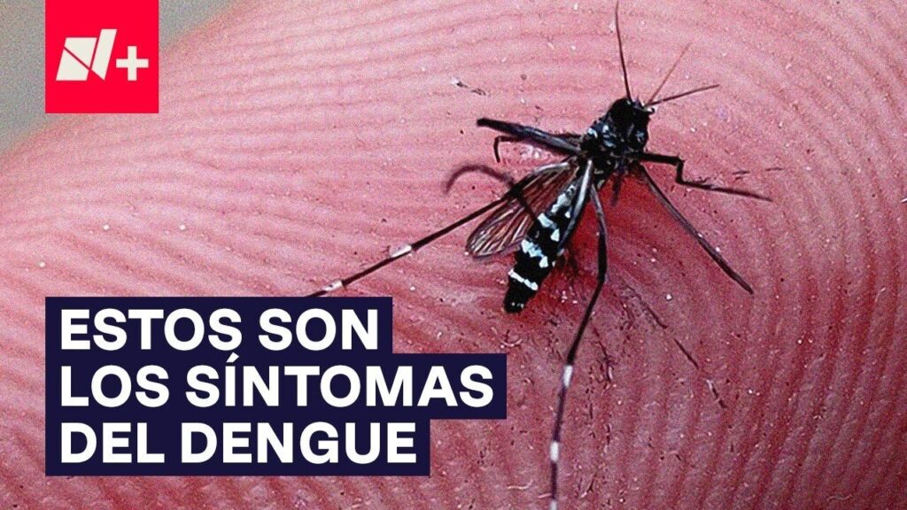 Errores comunes en prevención de dengue en zonas urbanas