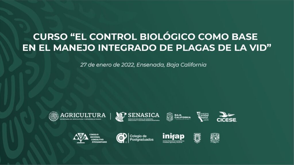 Recomendaciones para ventajas del control integrado de plagas